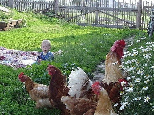 фото из архива интернета