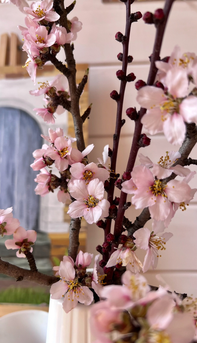 Ветка миндаля