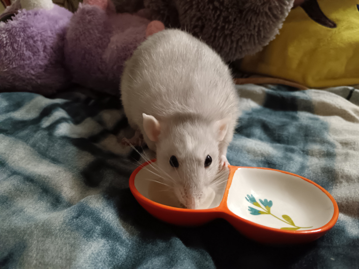 Кушает лекарства моя девочка 