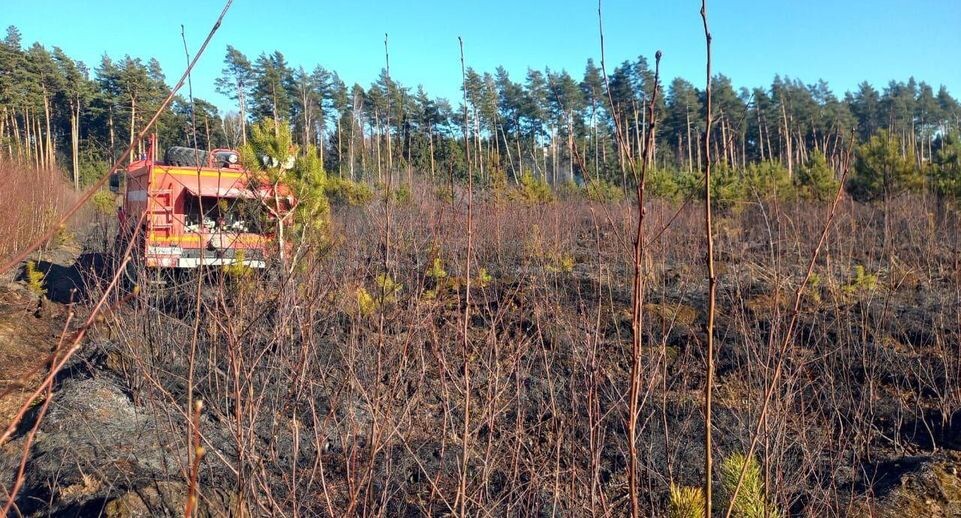    Комитет лесного хозяйства Московской области