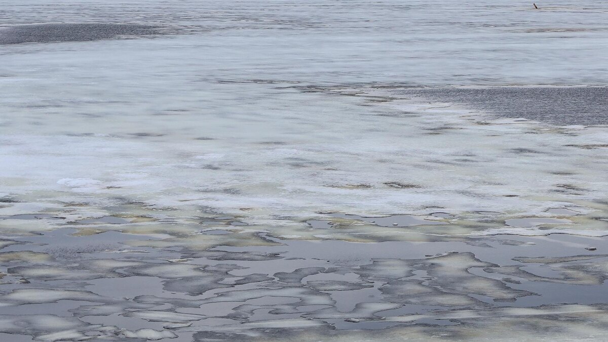    Фото: Elena Mayorova/globallookpress.com