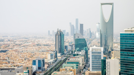    Российская делегация прибыла в Саудовскую Аравию на переговоры с США ©Shutterstock/Fotodom