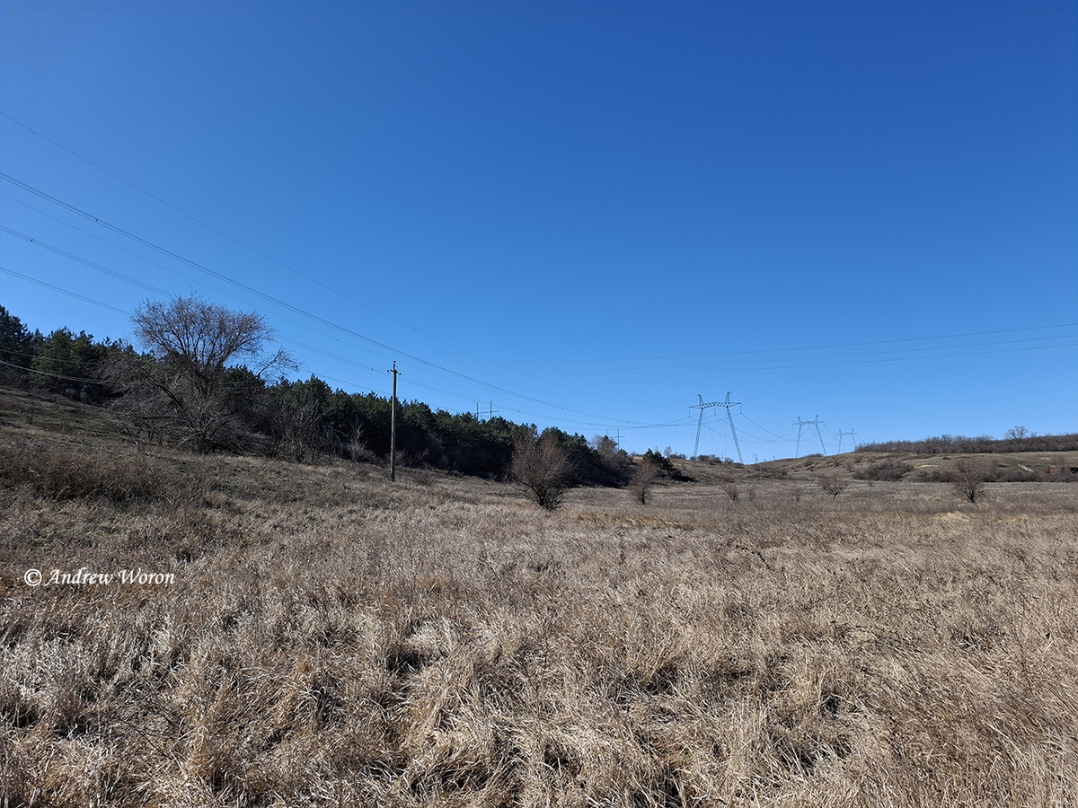 Выгон за селом