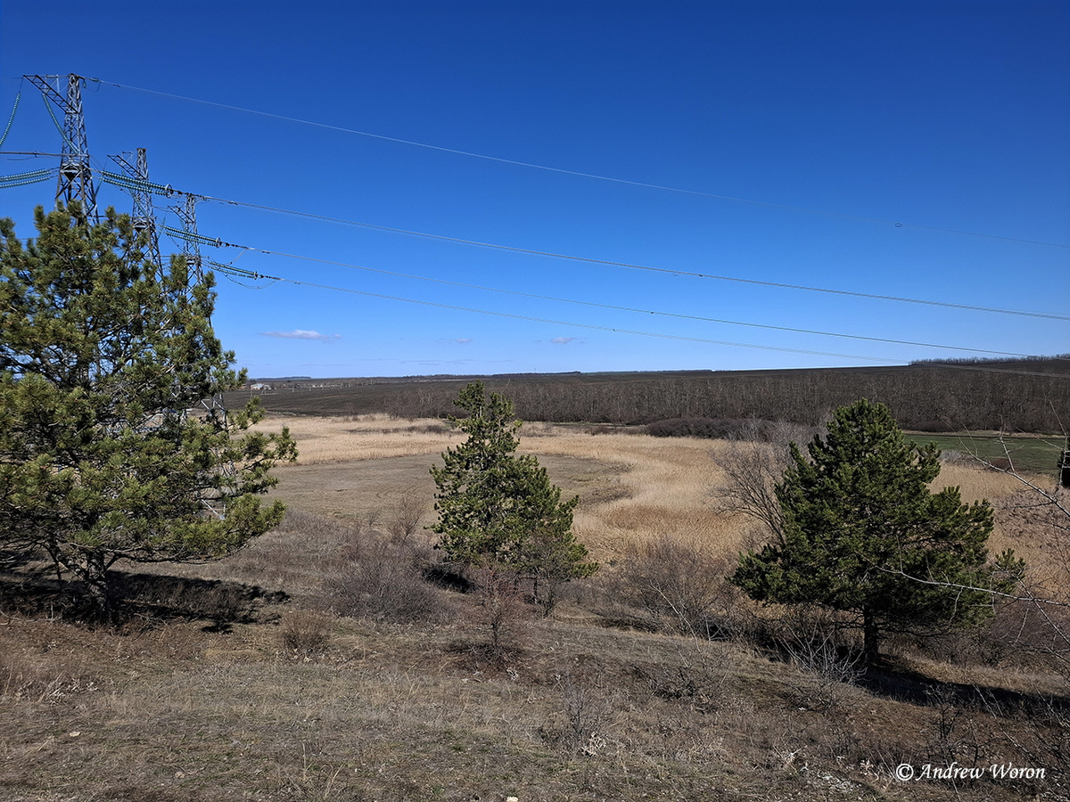 Речная долина