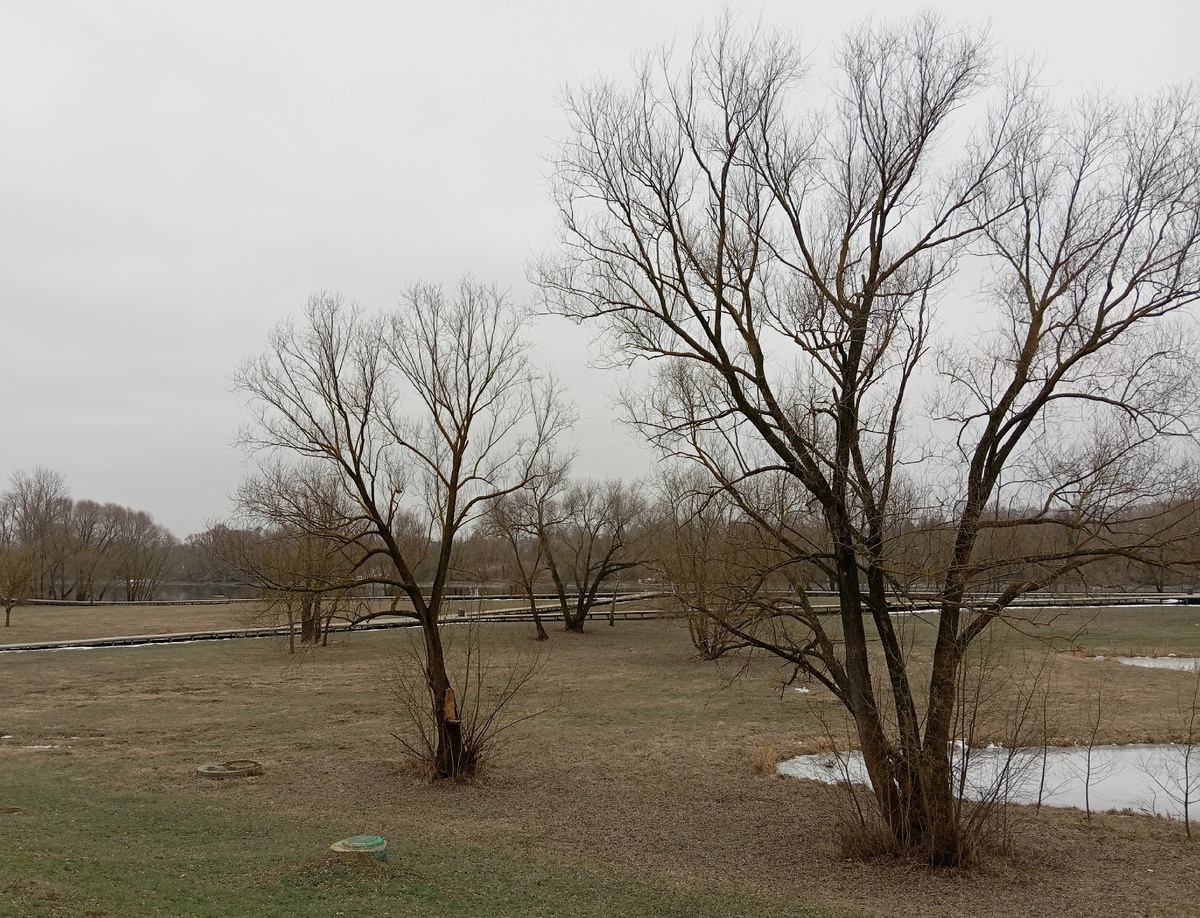 Вдали виднеется Москва- река. К берегу ведут дорожки-деревянные помосты.