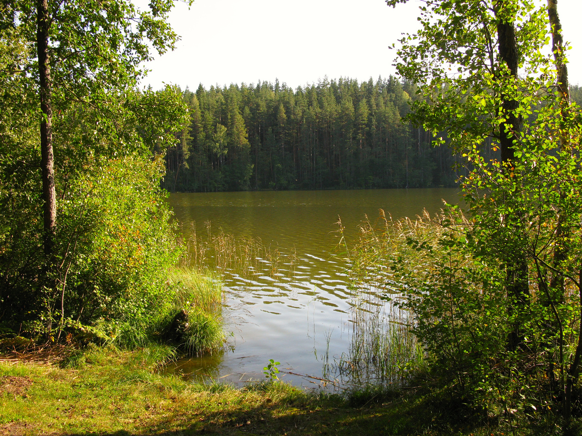 Один из заходов в Долгое озеро.