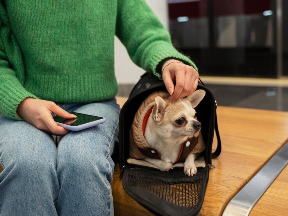     Фото: freepik.com