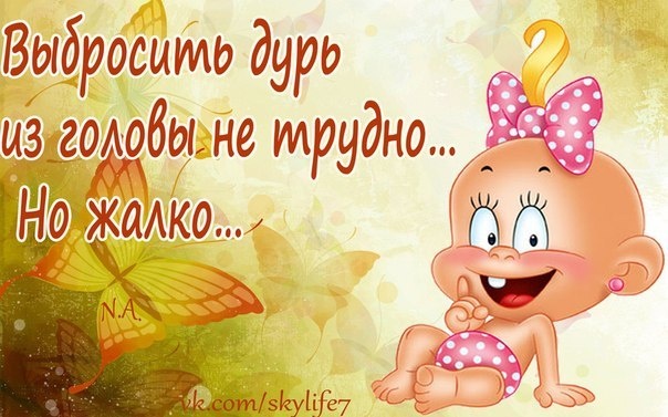 фотография: Яндекс фото