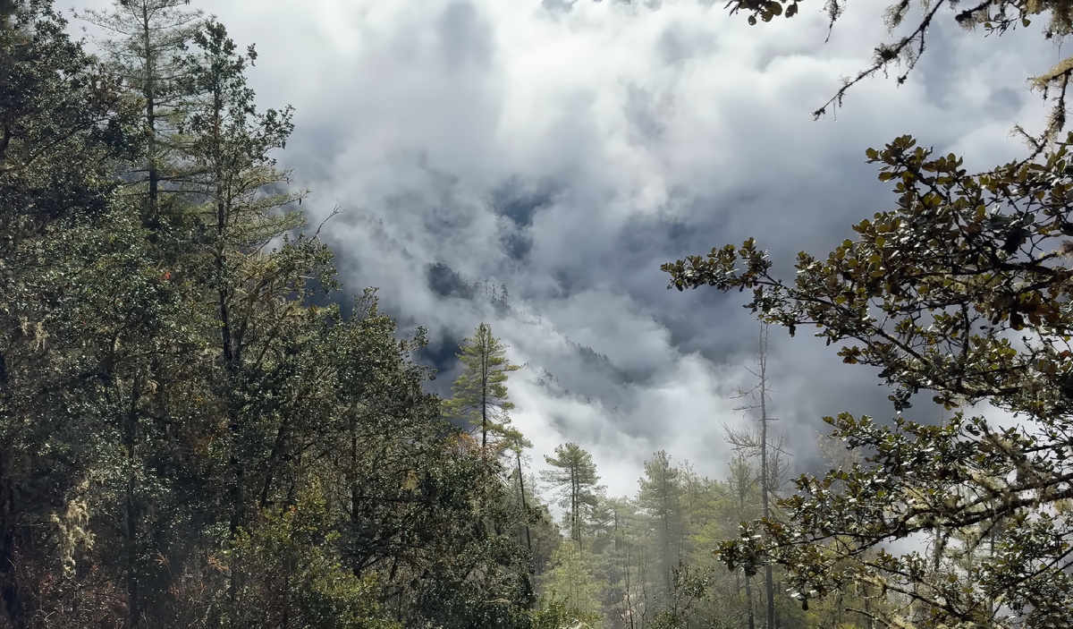 Облака стелятся по горным склонам.