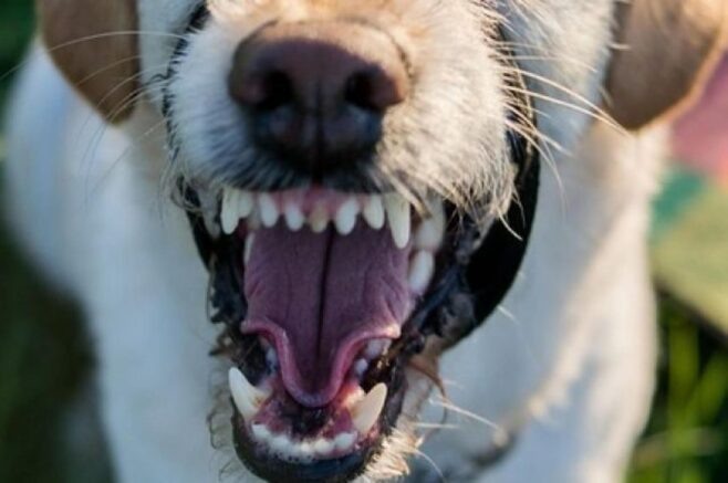    Фото: pixabay.com