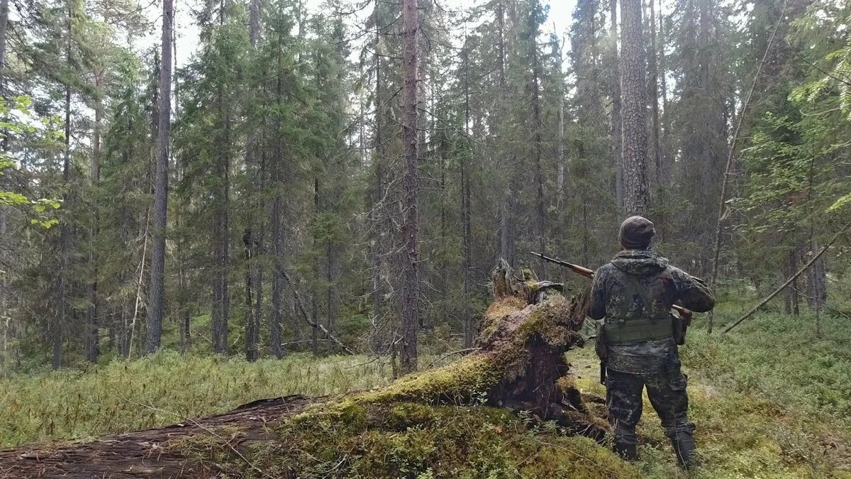 картинка из свободного доступа