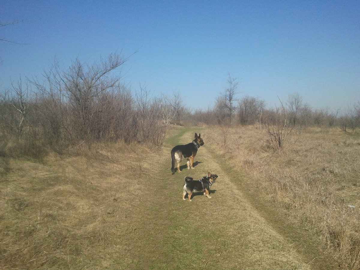 Фото автора