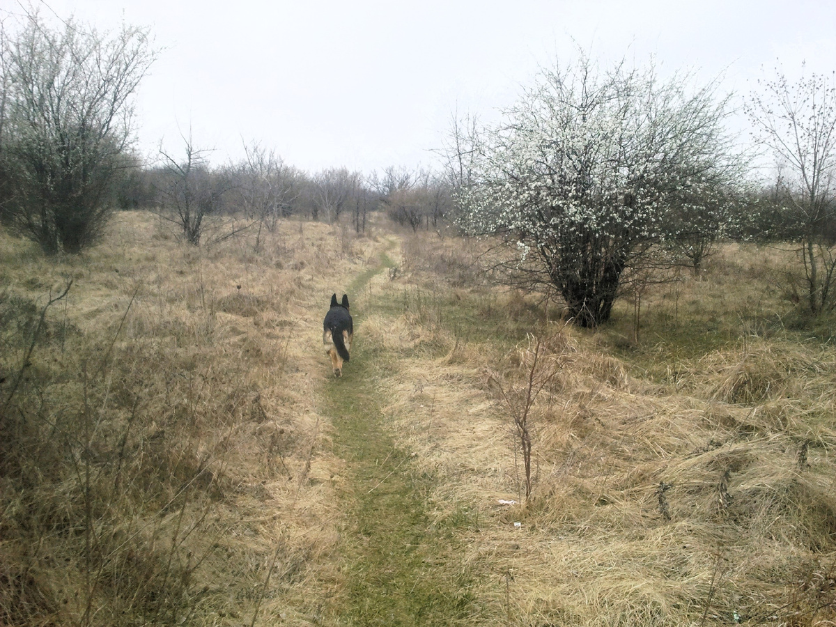 Фото автора