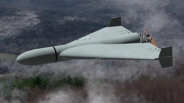    Фото: Anelo/Shutterstock/Fotodom