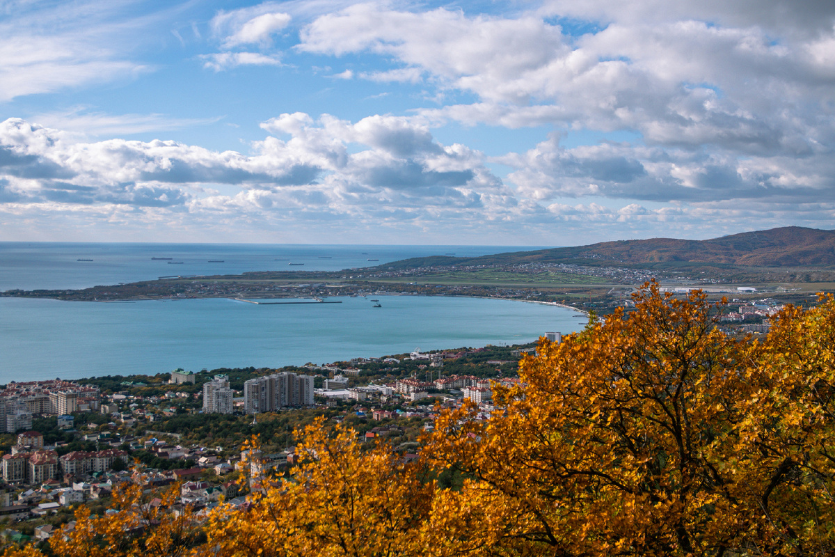 Photo by MAKSIM ZAVIKTORIN on Unsplash