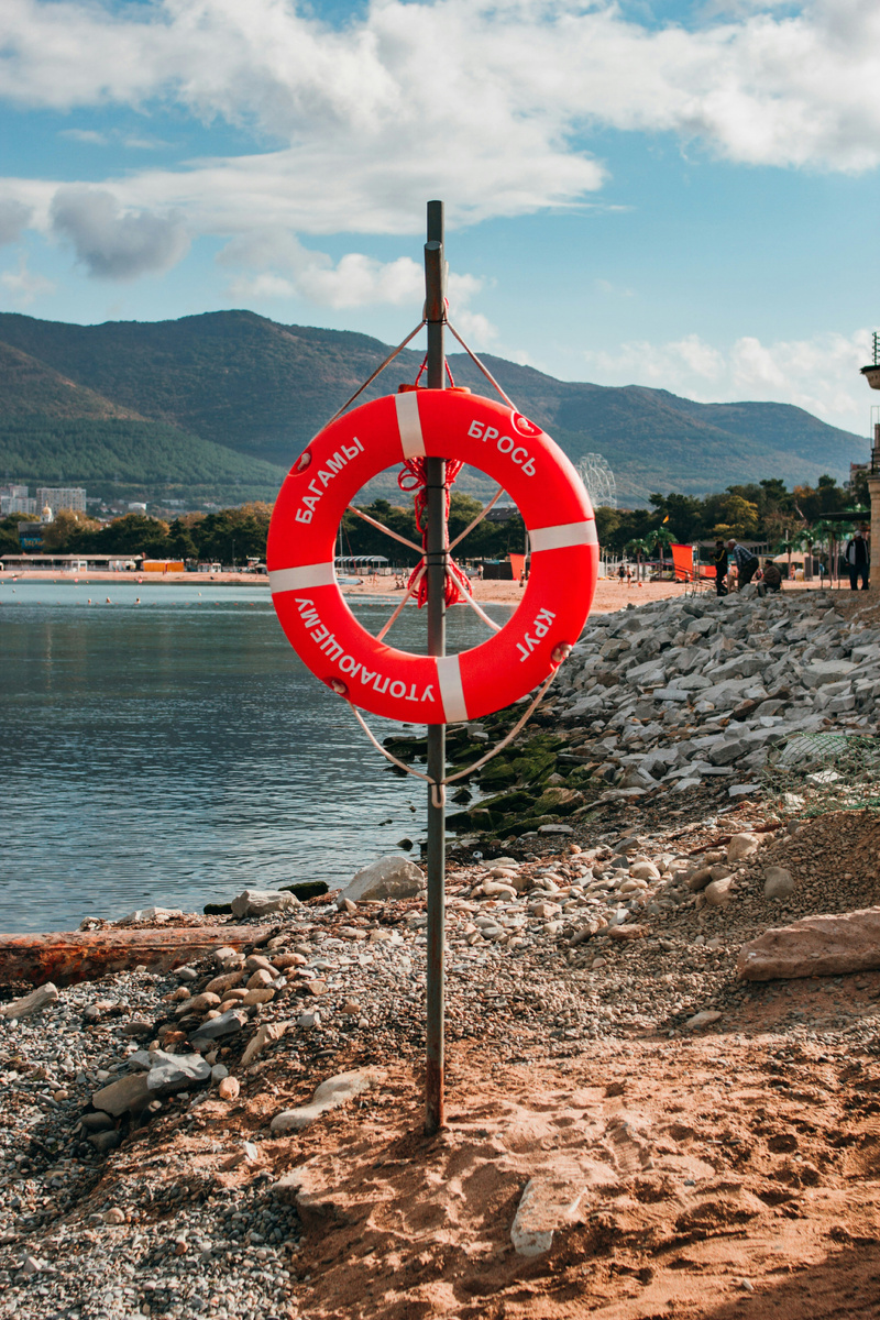 Photo by Olga Nayda on Unsplash