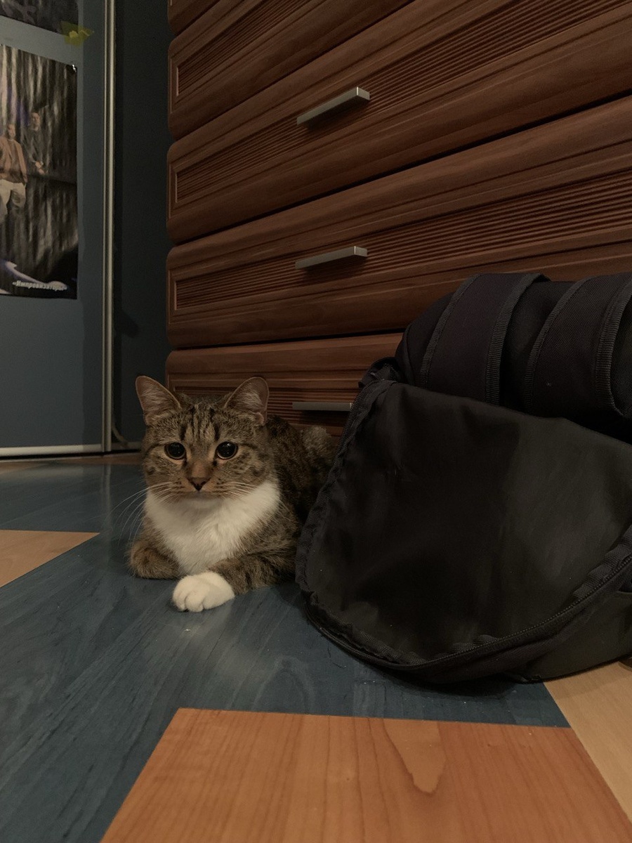 Только посмотрите, как они с Кузей похожи...