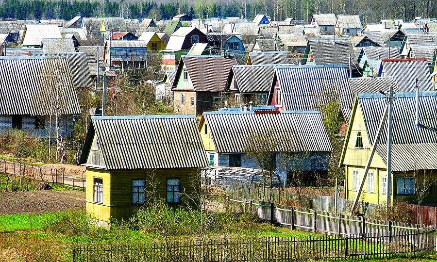 Взносы в СНТ: за что мы платим?