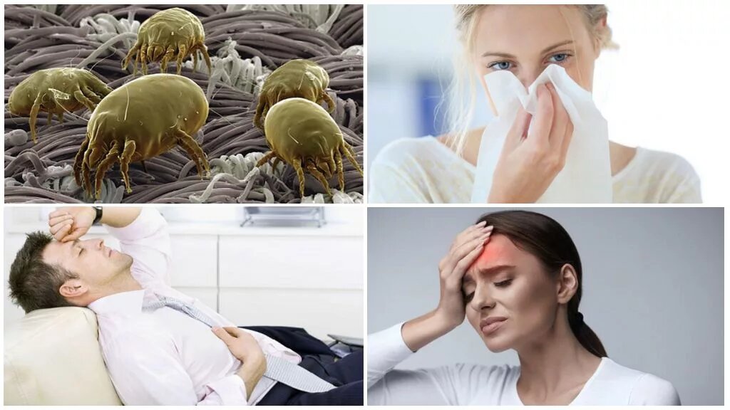 Пылевой клещ весит всего 0.0001 грамм, но бьёт по вашим лёгким как Майк Тайсон.