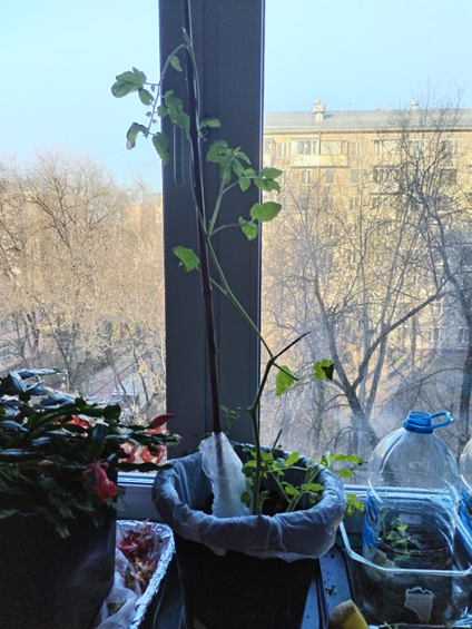 осенний, тот самый…