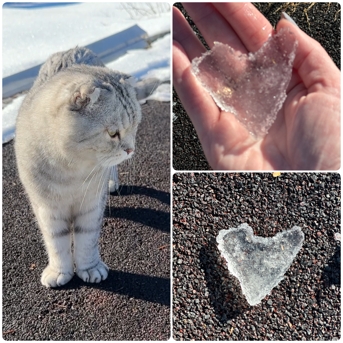 Это наш весенний приветик всем вам, дорогие♥️