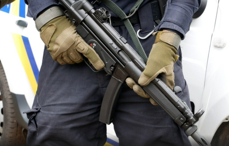    Shutterstock|FOTODOM