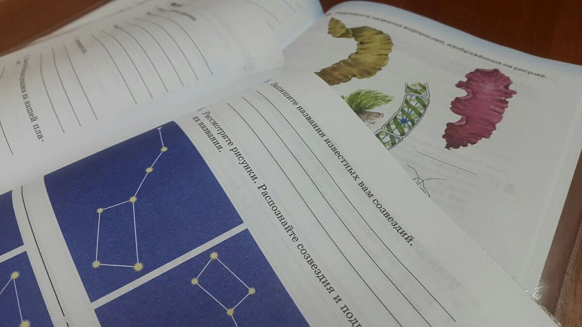     Источник: mkset.ru