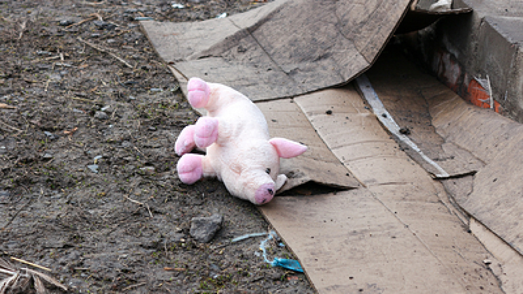    Фото: Konopatov Yuri/news.ru/Globallookpress