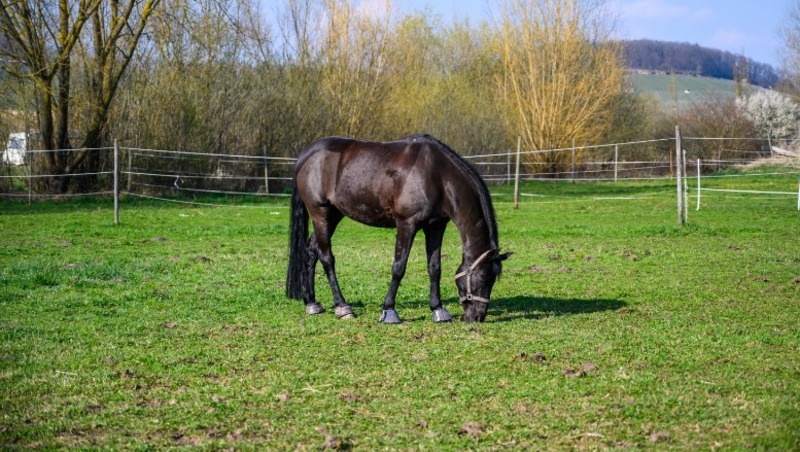 @wirestock / freepik.com