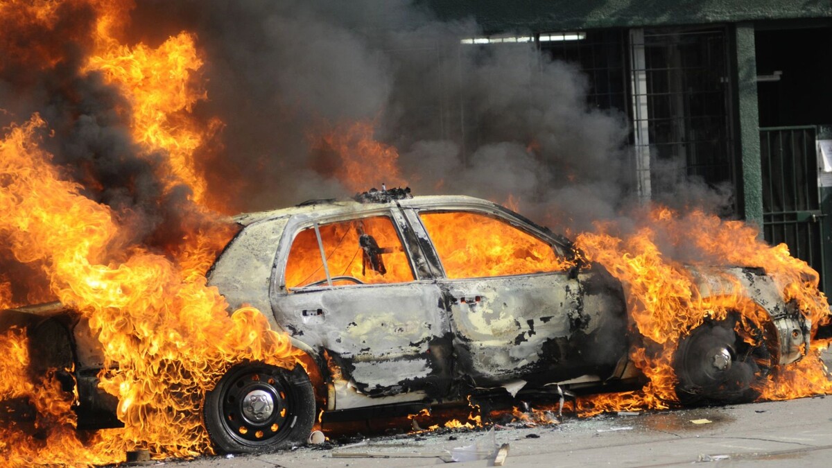    Фото: arindambanerjee/Shutterstock/Fotodom