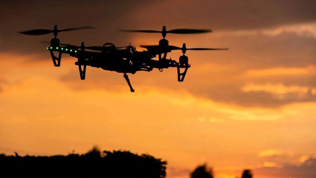    Фото: Wirestock Creators/Shutterstock/Fotodom