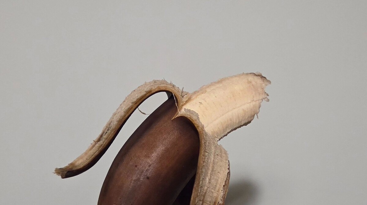     Автор: KubanPress