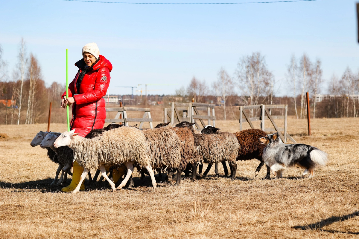 Пастьба это красиво 🥰