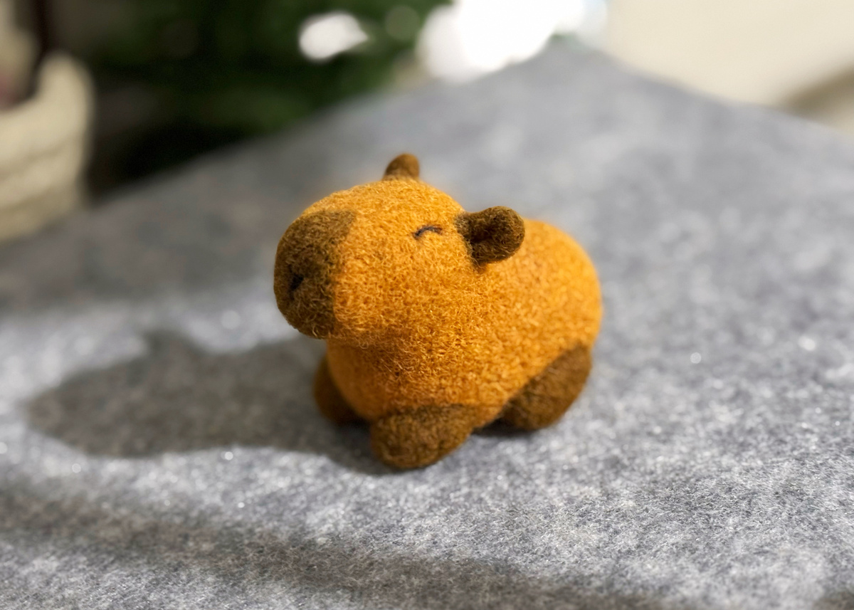 Моя капибара