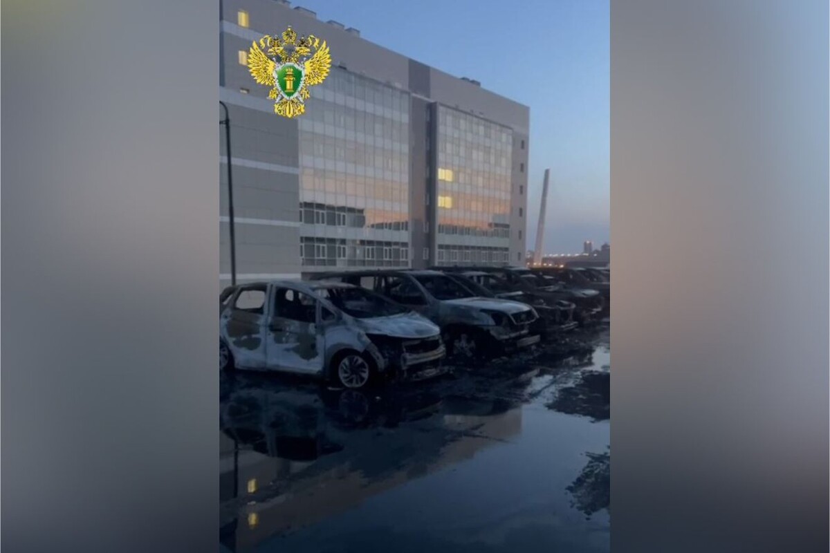     / Источник: © Telegram-канал прокуратуры Приморского края