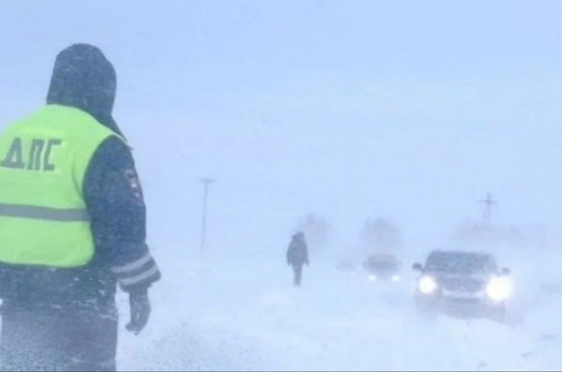 Госавтоинспекция