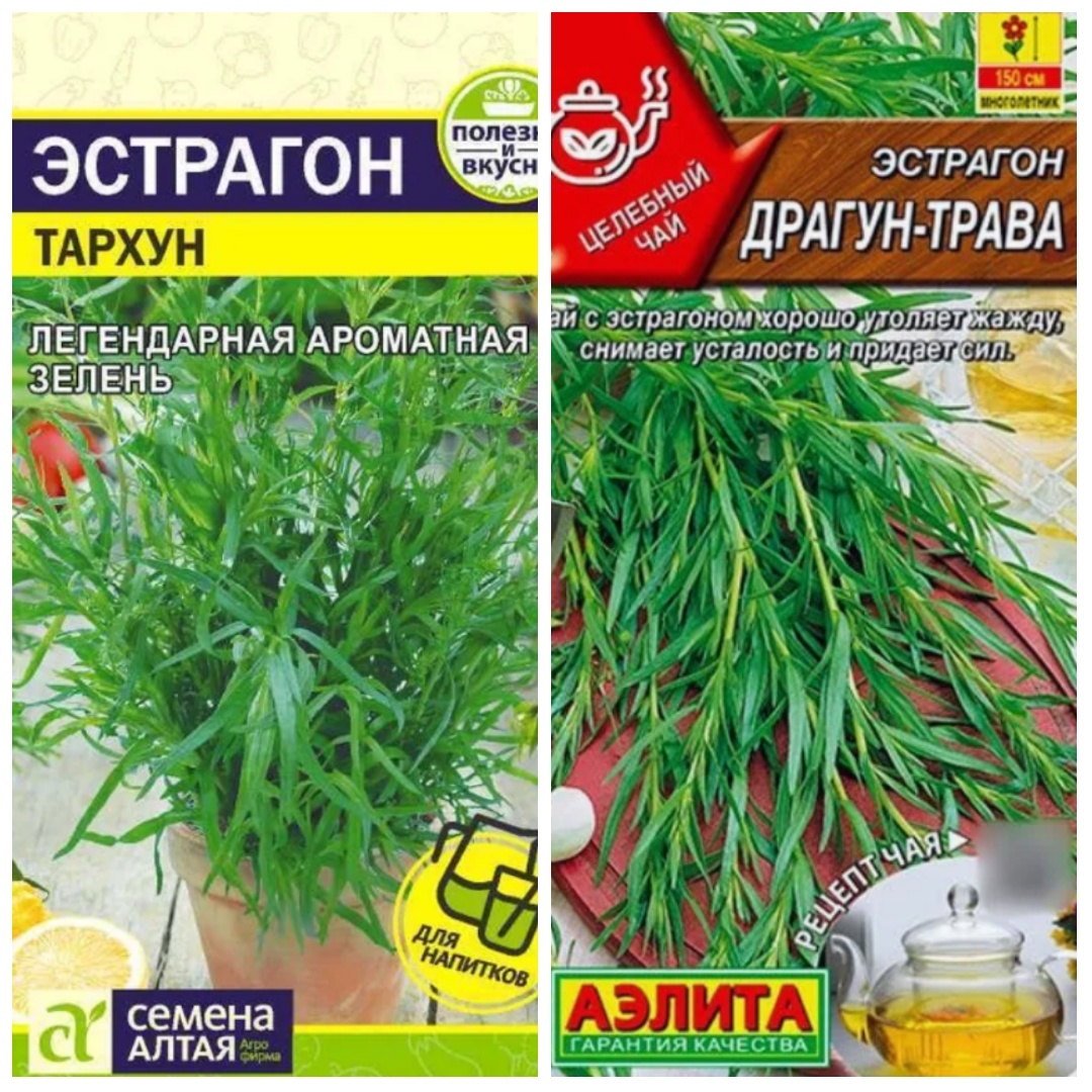 Такие сорта продаются в интернете.