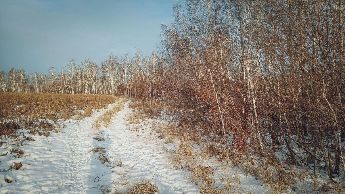     Источник: 1MI