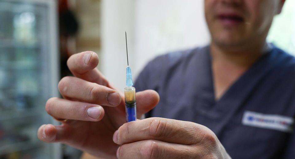    Petrov Sergey/news.ru / www.globallookpress.com