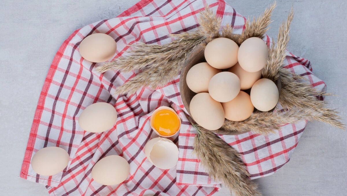     Источник: freepik.com