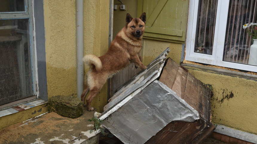    Фото: ИЗВЕСТИЯ/Александр Полегенько