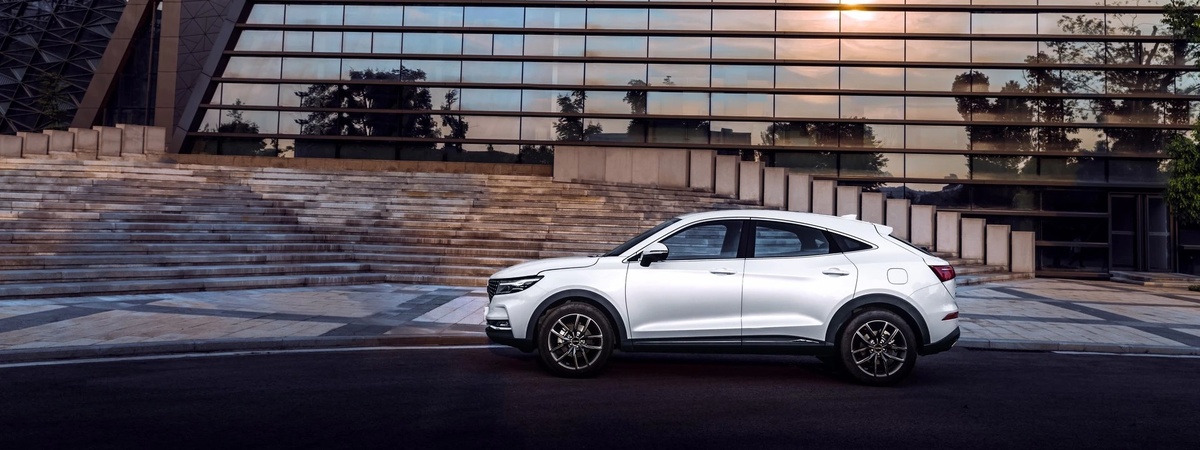 Фото Dongfeng  📷
