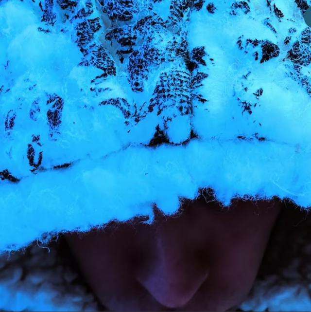    Джастин Бибер. Фото: социальные сети