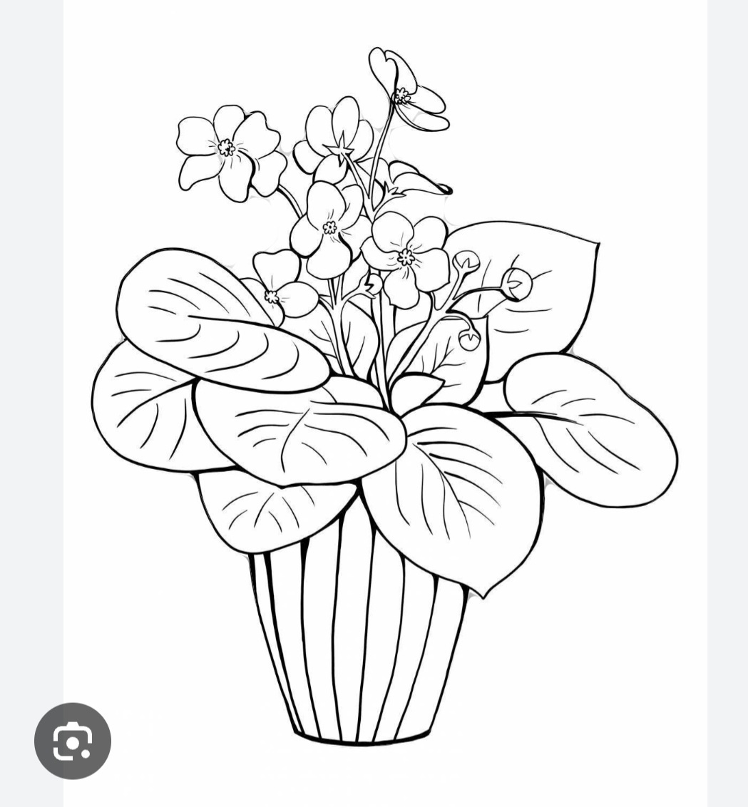 Фото из открытого источника