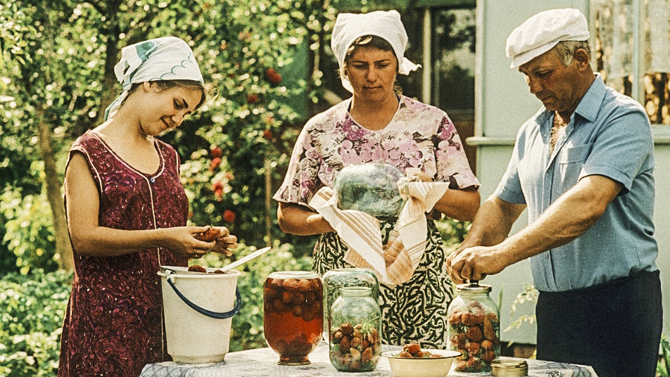 Дачный сезон. Фото из открытых источников