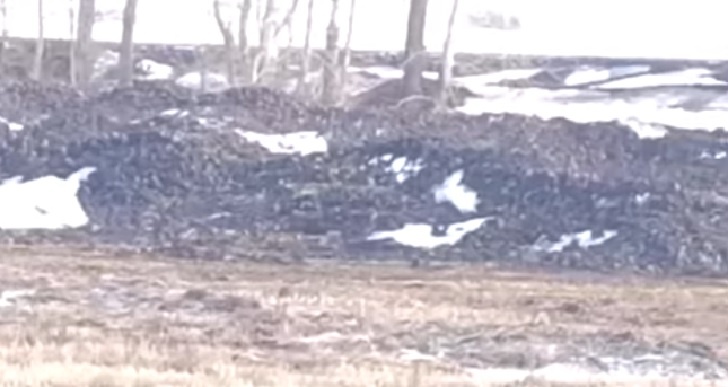    Фото со страницы Андрея Потылицына