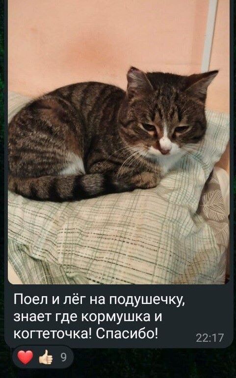    Фото: из группы «объявления Джалинда» в мессенджере