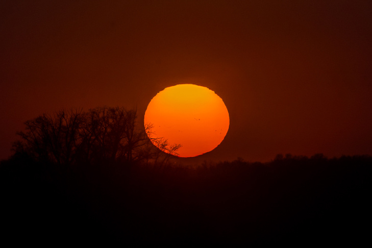    Фото Андрея Заржецкого
