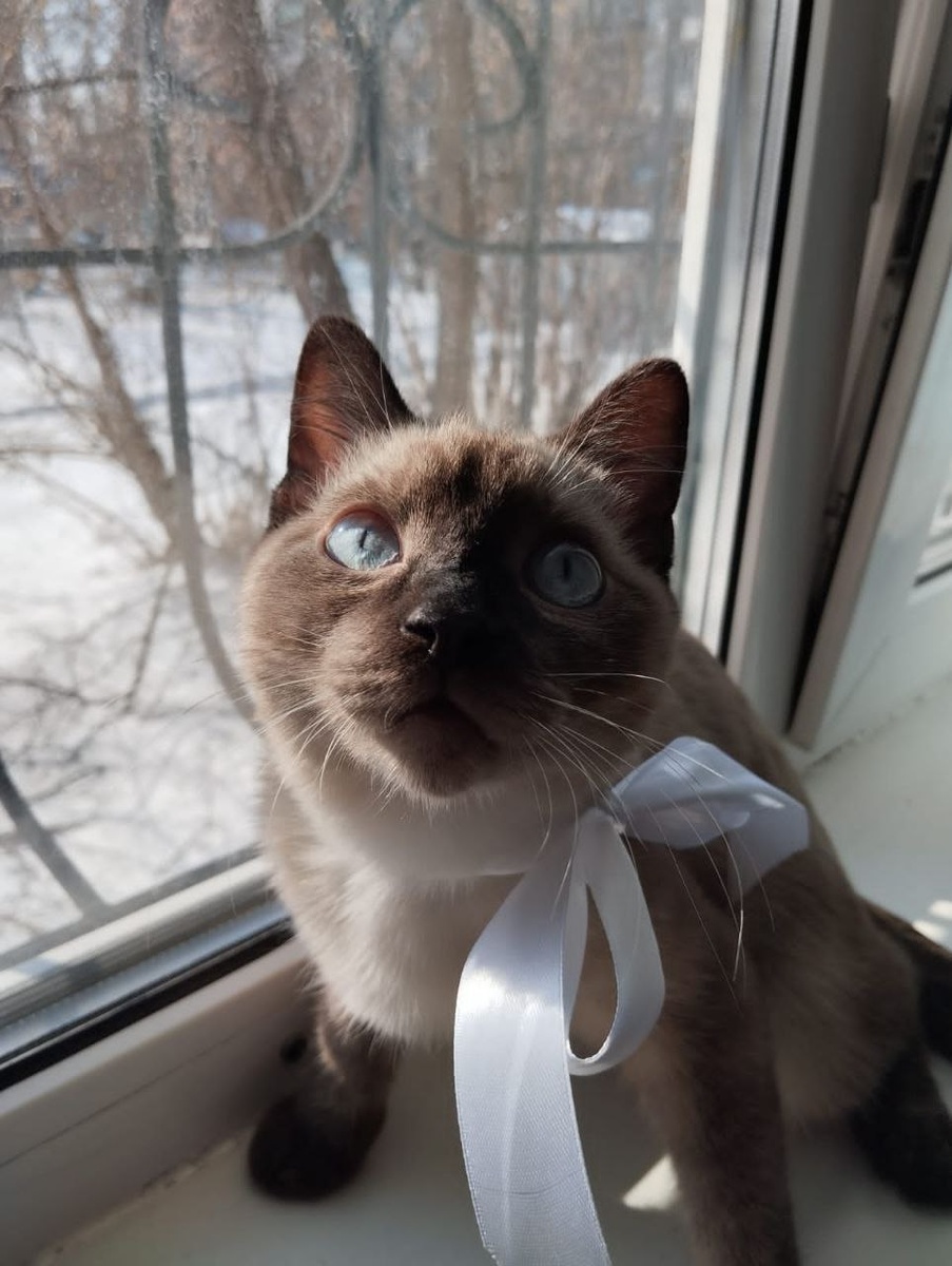 Красавчик-выпускник