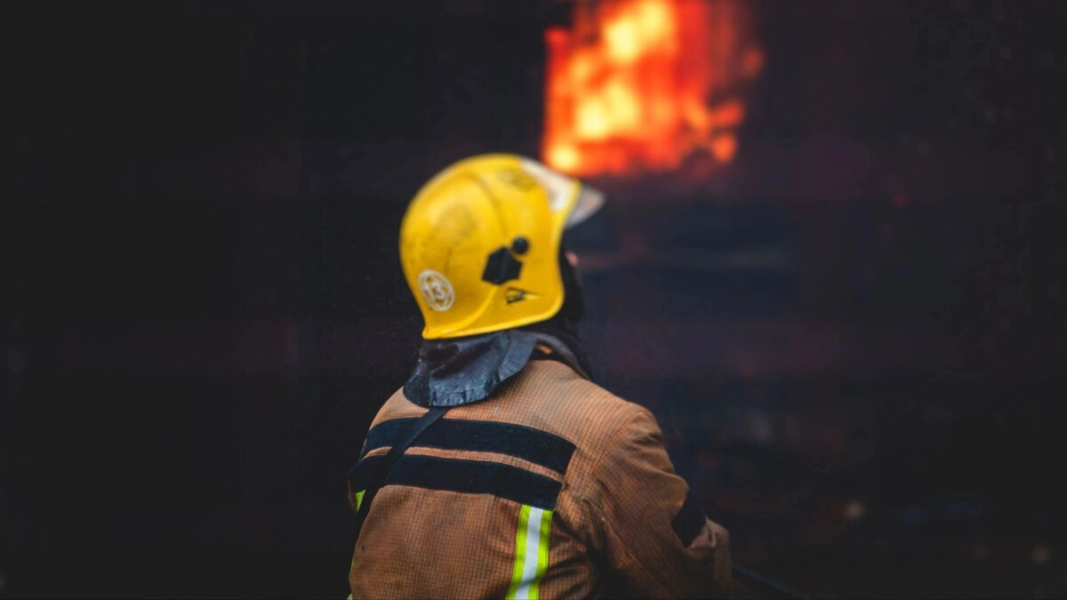    Фото: Tsuguliev/Shutterstock/Fotodom